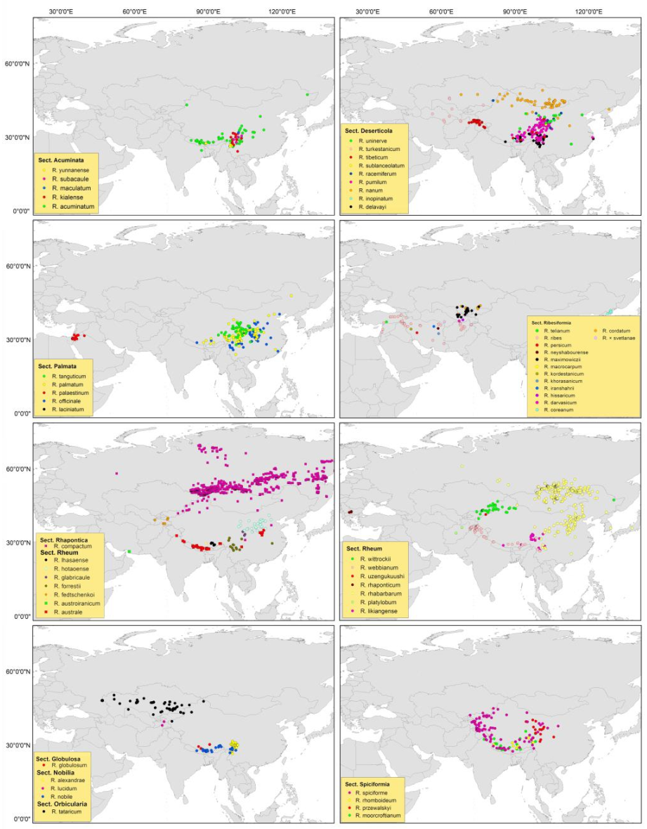 					View Vol. 3 No. 2 (2024): Rhubarb: A Potent Medicinal Herb Linking Traditional Medicine Research Between Uzbekistan and China
				